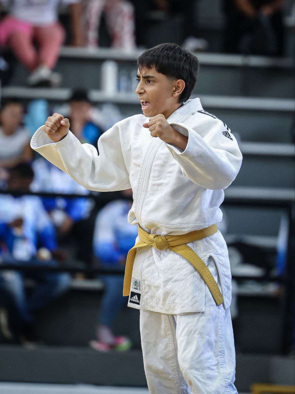 Entrenamiento de proyección de Judo